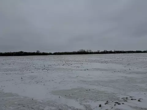 Section 31 Lake George Township, Belgrade, MN 56312