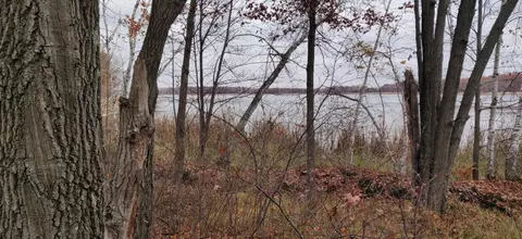 tbd Snowshoe Trl, Staples, MN 56479