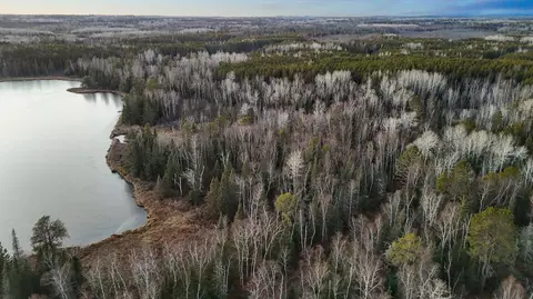 tbd Arthur Lk, Babbitt, MN 55706 photo 16