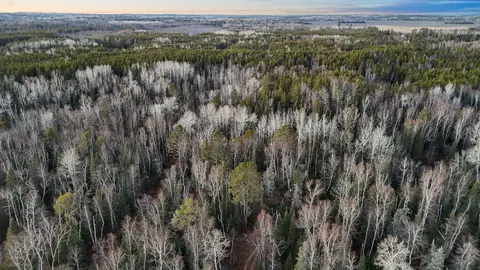 tbd Arthur Lk, Babbitt, MN 55706 photo 17