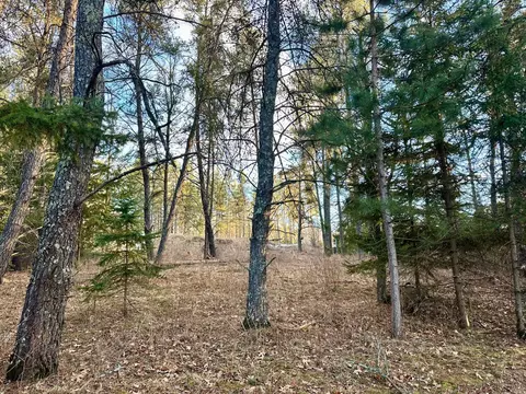 tbd E Blueberry River Dr, Menahga, MN 56464