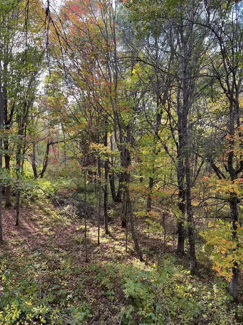 0 Levi Ln, Crosslake, MN 56442