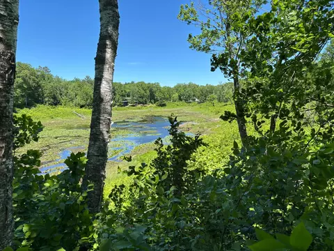 tbd Fawn Trl NE, Longville, MN 56655