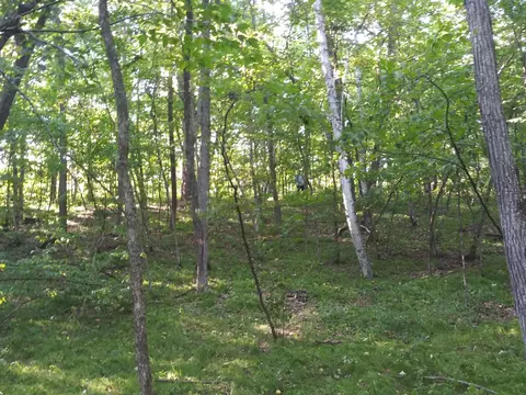 23847 Arcade Loop, Menahga, MN 56464 photo 7