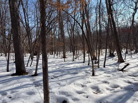23847 Arcade Loop, Menahga, MN 56464 photo 39