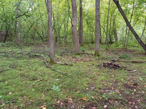 23847 Arcade Loop, Menahga, MN 56464 photo 9