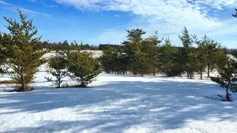 tbd Cattail Ln E, Bemidji, MN 56601