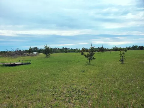 tbd Cattail Ln E, Bemidji, MN 56601