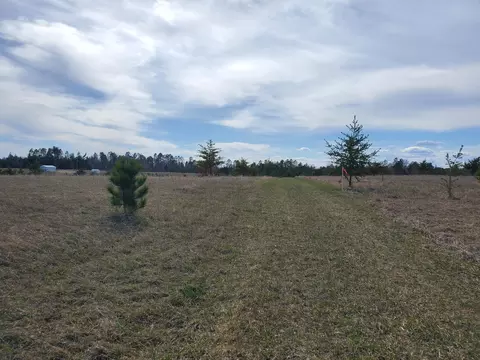 tbd Cattail Ln E, Bemidji, MN 56601 photo 16