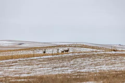 tbd 49 St Sw 212a, Hebron, ND 58638 photo 24