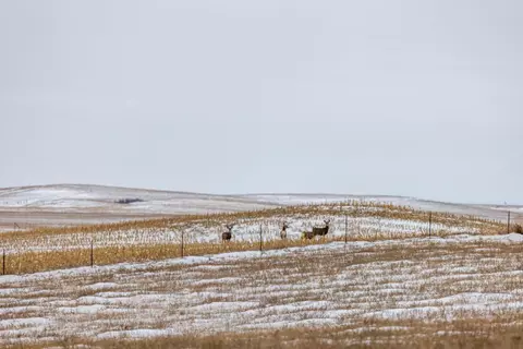 tbd 49 St Sw 212a, Hebron, ND 58638 photo 25
