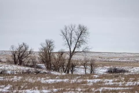 tbd 49 St Sw 212a, Hebron, ND 58638 photo 16