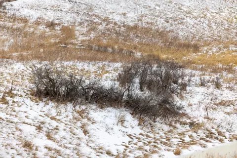 tbd 49 St Sw 212a, Hebron, ND 58638 photo 43
