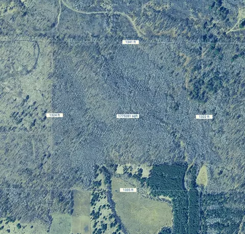 tbd State 371 SW, Backus, MN 56435 photo 2