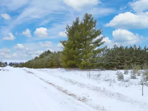 Nnn 170th Street, Park Rapids, MN 56470