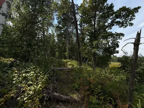 tbd Sunset Shrs, Pine River, MN 56474 photo 18
