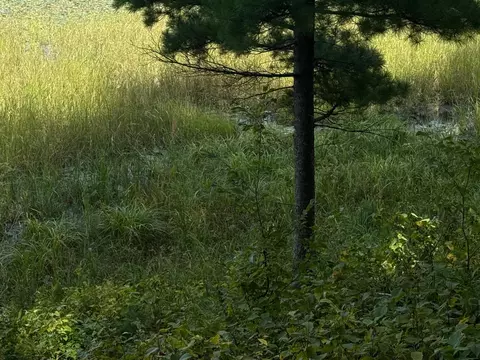 tbd Sunset Shrs, Pine River, MN 56474 photo 12