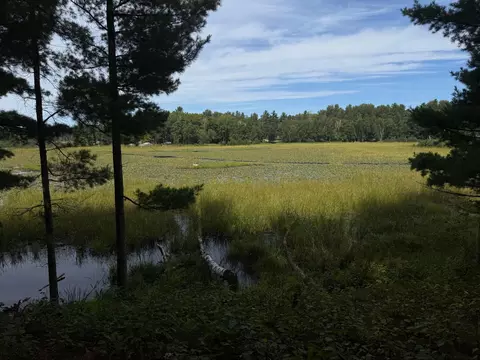 tbd Sunset Shrs, Pine River, MN 56474 photo 10