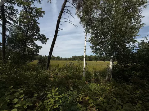 tbd Sunset Shrs, Pine River, MN 56474 photo 17