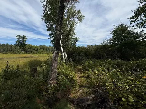 tbd Sunset Shrs, Pine River, MN 56474 photo 15