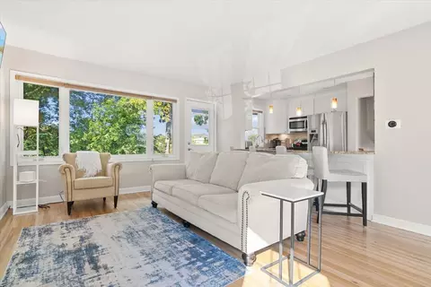 Living - 332 Mill St, Excelsior, MN 55331 photo 1 of 3
