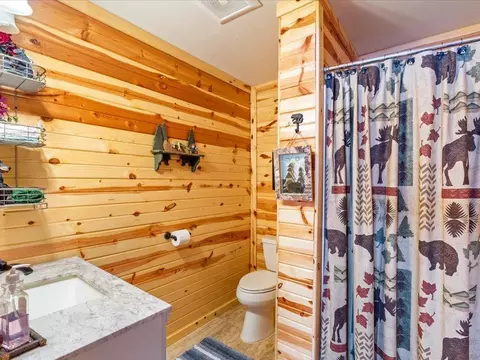 Bath - 15125 Warrior Ave, Brainerd, MN 56401 photo 3 of 3