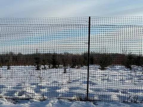 tbd Scotch Pine Rd, Finlayson, MN 55735 photo 4