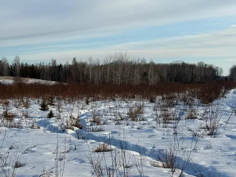 tbd Scotch Pine Rd, Finlayson, MN 55735 photo 5