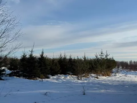 tbd Scotch Pine Rd, Finlayson, MN 55735