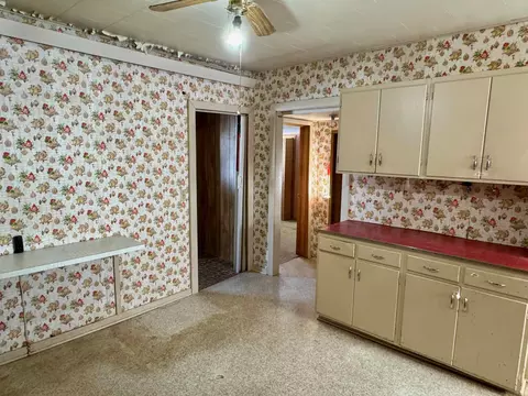 911 Maple Ave, Bird Island, MN 55310 photo 8