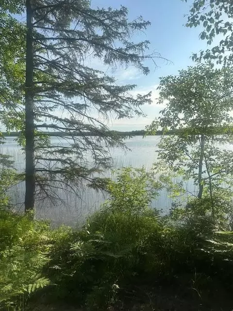 tbd Vandermeer Ct NW, Bemidji, MN 56630