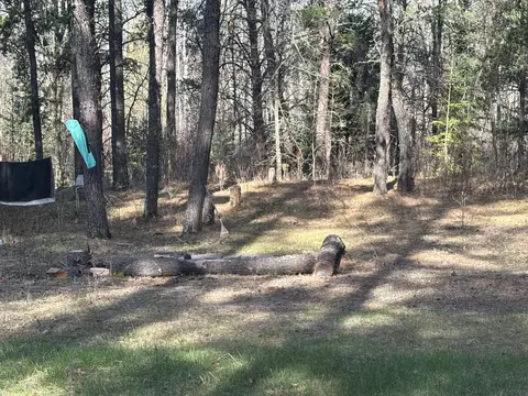 tbd Arbor Rd, Park Rapids, MN 56470