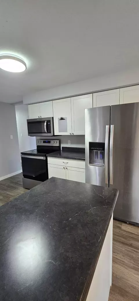Kitchen - 1014 Maplehill Dr, Albert Lea, MN 56007 photo 4 of 6