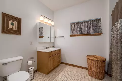 Bath - 101 Shoreview Dr, Elysian, MN 56028 photo 5 of 6