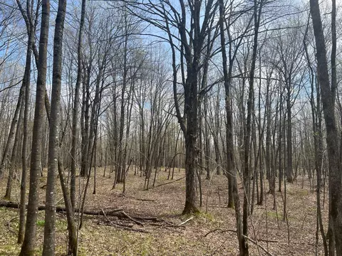 tbd Golf Course Rd, High Bridge, WI 54846 photo 23