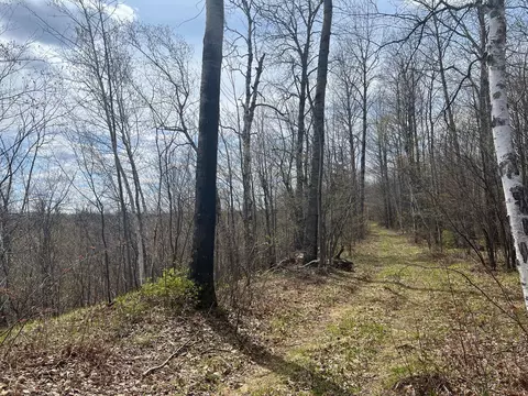 tbd Golf Course Rd, High Bridge, WI 54846 photo 7