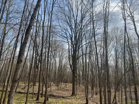 tbd Golf Course Rd, High Bridge, WI 54846 photo 24