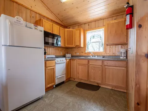 35686 Rush Lake Loop #7, Ottertail, MN 56571 photo 4
