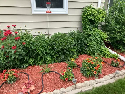 Exterior - 2139 4th St E, Saint Paul, MN 55119 photo 5 of 8