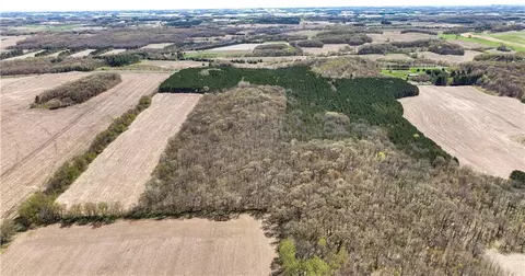 tbd Highway 93, Eleva, WI 54738 photo 7