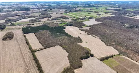 tbd Highway 93, Eleva, WI 54738 photo 5