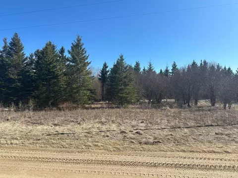 tbd County Road 31, Northome, MN 56661