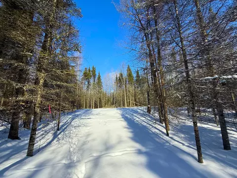 72 Nn E Central Lakes Rd #LOT A, Eveleth, MN 55734