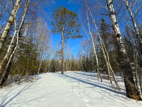 72 Nnn E Central Lakes Rd #LOT C, Eveleth, MN 55734