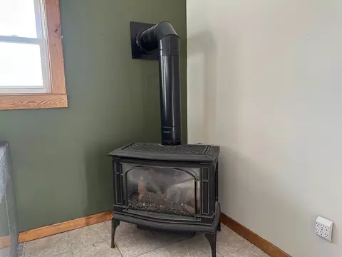 Living - 207 Louis St E, Cologne, MN 55322 photo 3 of 4