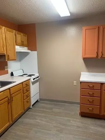 Kitchen - 31 Chestnut St E # 2, Trimont, MN 56176 photo 3 of 5