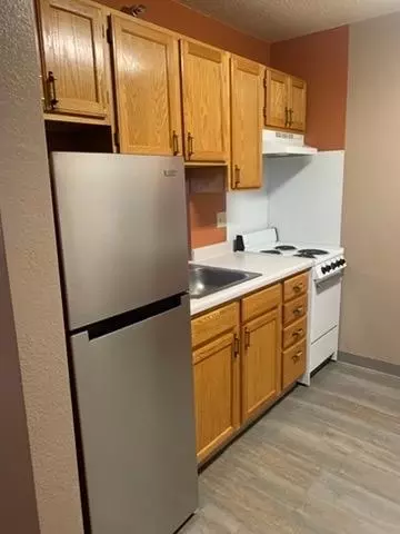 Kitchen - 31 Chestnut St E # 2, Trimont, MN 56176 photo 2 of 5