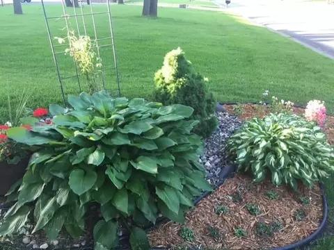 Exterior - 2007 Summit Dr, Saint Cloud, MN 56303 photo 20 of 22