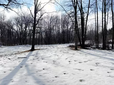 Exterior - 18500 Bogie Bay, Garrison, MN 56450 photo 14 of 18
