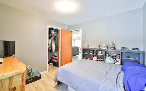 12105 Mountain Ash Dr, Baxter, MN 56425 photo 17